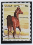 Stamps Cuba -  Caballo Arabe