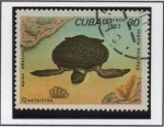 Stamps Cuba -  Tortugas: Chelonia mydas