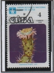 Stamps Cuba -  Flores d' cactus: Leptocareus
