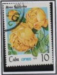 Sellos de America - Cuba -  Rosas: Sulfurea