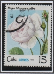 Stamps Cuba -  Rosas: muscosa