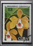 Sellos de America - Cuba -  Orquídeas cubanas: Encylia