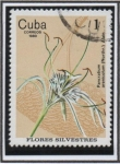 Stamps Cuba -  Flores Silvestres: Pancratius