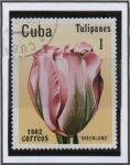 Stamps Cuba -  Tulipanes: Greenlnd