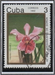 Stamps Cuba -  Orquidea: Catteya hidrida