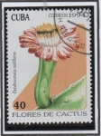 Stamps Cuba -  Flores d' cactus: Dendrocerus