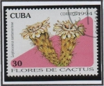 Sellos de America - Cuba -  Flores d' cactus: Leptocereus