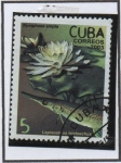 Stamps Cuba -  Flora y Fauna: Nymphaea ampla