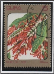 Sellos de America - Cuba -  Flores d' Caribe: Triplaris Surinamensis