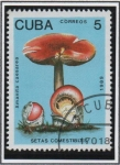 Stamps Cuba -  Setas conestibles: Amanita caesarea