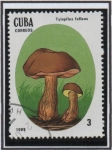 Stamps Cuba -  Setas Venenosas: Tylopilus inboluntus