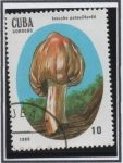 Sellos de America - Cuba -  Setas Venenosas: Inocibe patouillaris