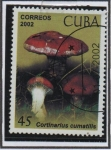 Sellos de America - Cuba -  Setas: Cortinarius cumatillis