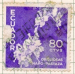 Stamps : America : Ecuador :  orquideas