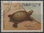 Sellos del Mundo : America : Cuba :  Tortugas: Cherysemys decussata