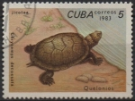 Stamps Cuba -  Tortugas: Cherysemys decussata