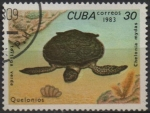 Sellos del Mundo : America : Cuba :  Tortugas: Chelonia mydas