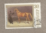 Stamps Russia -  Museo equestre de Moscú