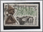 Stamps Benin -  Ganadero