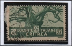 Stamps Africa - Eritrea -  Arbol Baobad