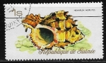 Stamps Guinea -  Moluscos - African Murex (Hexaplex hoplites)