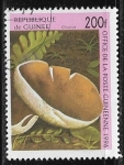 Stamps Guinea -  Setas - Chestnut Mushroom (Agaricus bisporus)