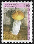 Sellos de Africa - Guinea -  Setas - Granular Mushroom (Suillus granulatus)