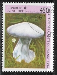 Sellos del Mundo : Africa : Guinea : Setas - Violet Cortinarius Mushroom (Cortinarius violaceus)