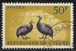 Sellos del Mundo : Africa : Guinea : Aves - Helmeted Guineafowl (Numida meleagris)