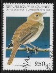 Sellos de Africa - Guinea -  Aves - Helmeted Guineafowl (Numida meleagris)