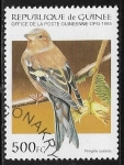 Sellos de Africa - Guinea -  Aves - Common Chaffinch (Fringilla coelebs)