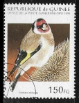 Stamps : Africa : Guinea :  Aves -European Goldfinch (Carduelis carduelis)