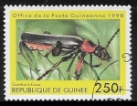 Stamps Guinea -  Soldier Beetle (Cantharis fusca)