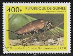 Sellos de Africa - Guinea -  Beetle (Sternocera castanea)