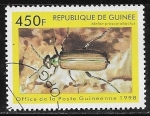 Stamps Guinea -  Black Oil Beetle (Meloe proscarabaeus)