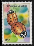 Stamps Guinea -  Lady Beetle (Hippodamia californica)