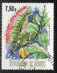 Stamps : Africa : Guinea :  Combretuni grandiflorum