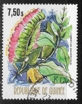 Sellos de Africa - Guinea -  Combretuni grandiflorum