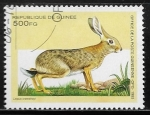 Stamps Guinea -  African Savanna Hare (Lepus crawshayi)