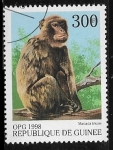 Sellos de Africa - Guinea -  OPG 1998 - Crab-eating Macaque (Macaca irus)