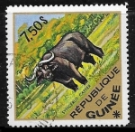 Sellos de Africa - Guinea -  African Buffalo (Syncerus caffer)