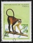 Sellos del Mundo : Africa : Guinea : Mona Monkey (Cercopithecus mona)