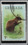 Stamps Grenada -  Flora y Fauna: Agouti rumped