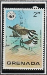 Sellos de America - Granada -  Chalandrius Vociferus