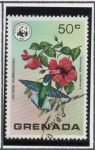 Stamps Grenada -  Jacobino d' cuello Blanco