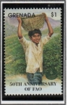 Stamps Grenada -  FAO 50 aniv: Hombre con canastas