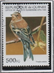 Stamps : Africa : Guinea :  Aves: Coelebs Fringilla