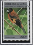 Stamps Guinea -  Aves: Carduelis Cucullata