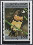 Sellos de Africa - Guinea -  Aves: Lonchura Castaneothorax
