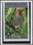 Sellos de Africa - Guinea -  Aves: Amadina Erythrocepha